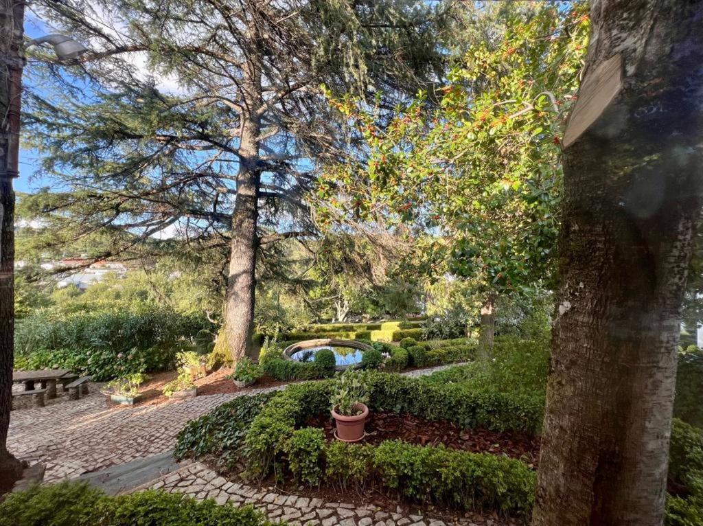 Casa Fundeira - Quinta Dos Esconhais Castanheira de Pera Zewnętrze zdjęcie